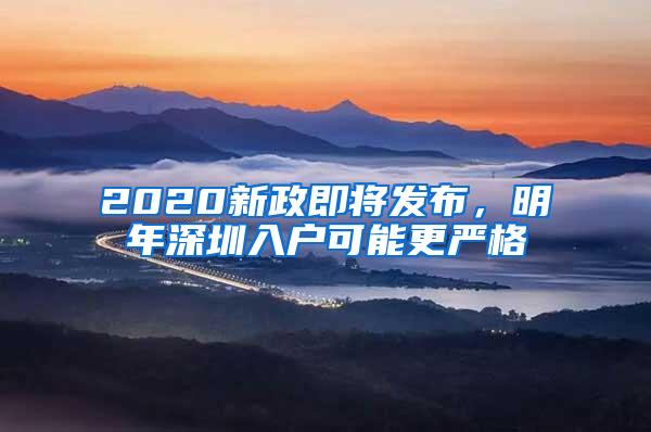 2020新政即将发布，明年深圳入户可能更严格