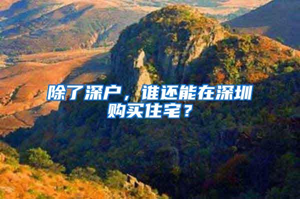 除了深户，谁还能在深圳购买住宅？