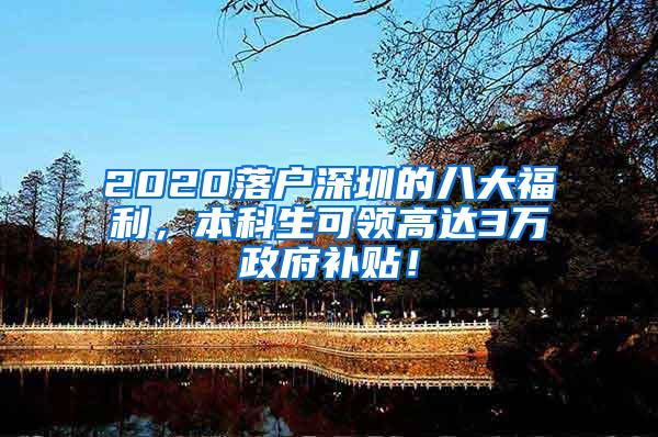 2020落户深圳的八大福利，本科生可领高达3万政府补贴！