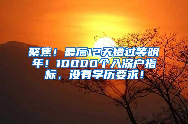 聚焦！最后12天错过等明年！10000个入深户指标，没有学历要求！