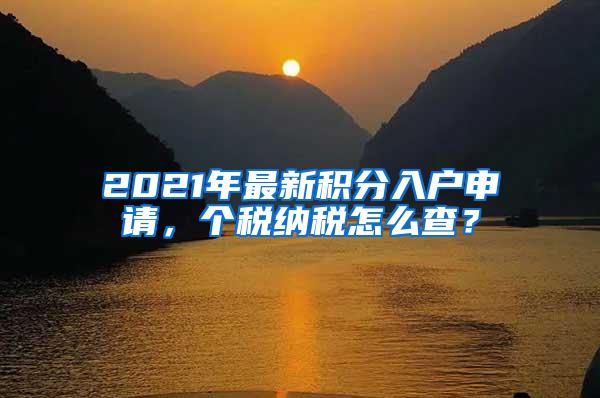 2021年最新积分入户申请，个税纳税怎么查？