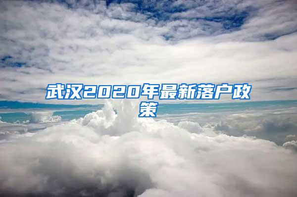 武汉2020年最新落户政策