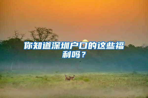 你知道深圳户口的这些福利吗？