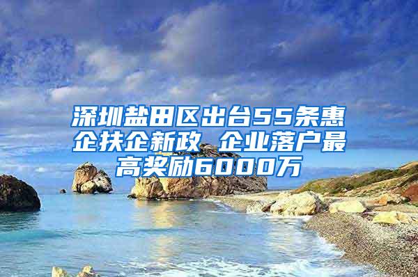 深圳盐田区出台55条惠企扶企新政 企业落户最高奖励6000万