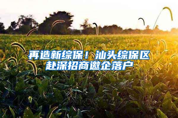 再造新综保！汕头综保区赴深招商邀企落户