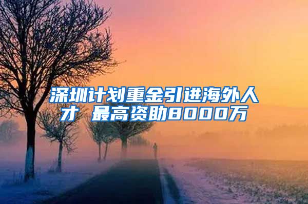 深圳计划重金引进海外人才 最高资助8000万