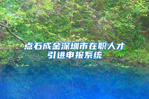 点石成金深圳市在职人才引进申报系统