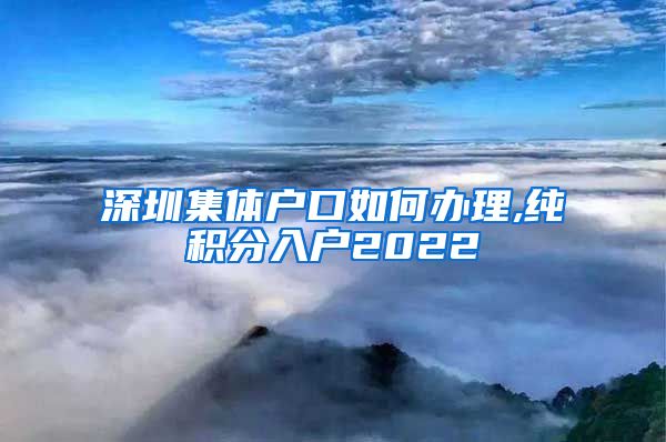 深圳集体户口如何办理,纯积分入户2022