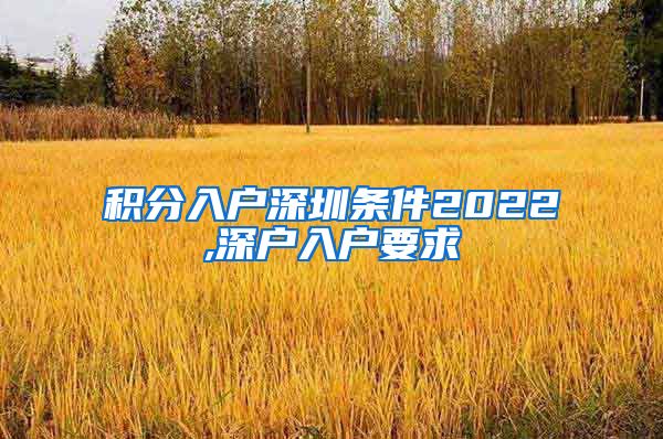 积分入户深圳条件2022,深户入户要求