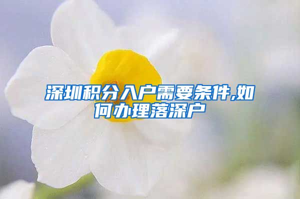 深圳积分入户需要条件,如何办理落深户