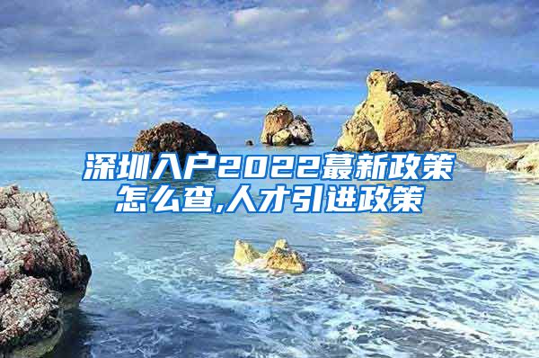 深圳入户2022蕞新政策怎么查,人才引进政策