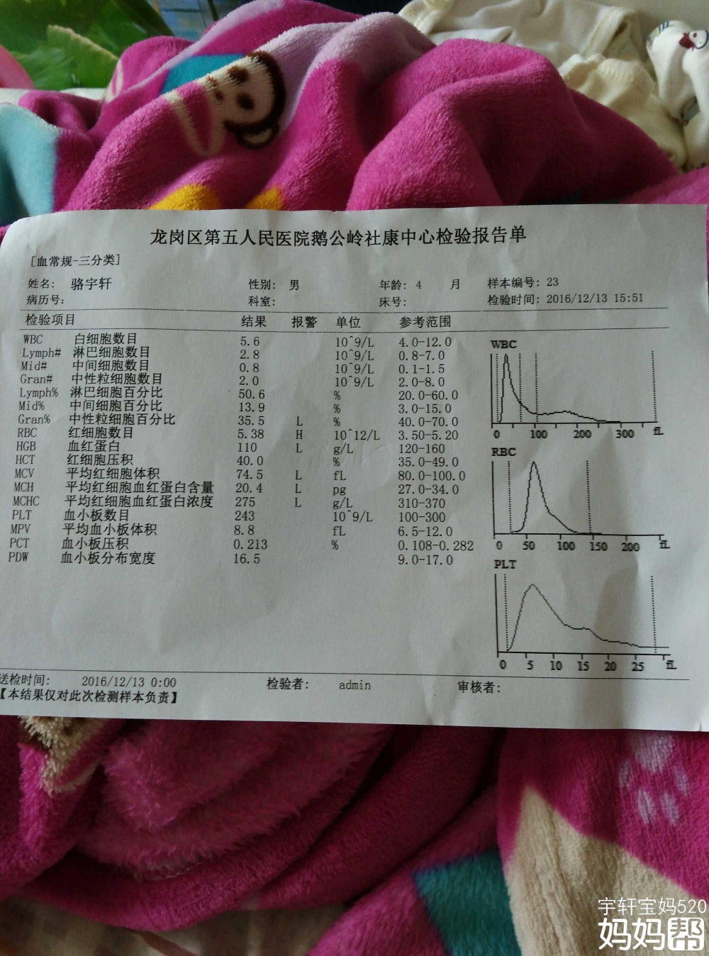 深圳积分入户体检前能喝水吗_深圳积分入户体检代办_2022年深圳市积分入户体检时贫血