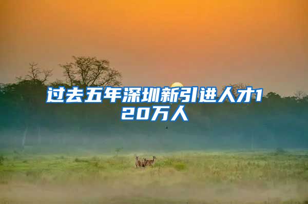 过去五年深圳新引进人才120万人