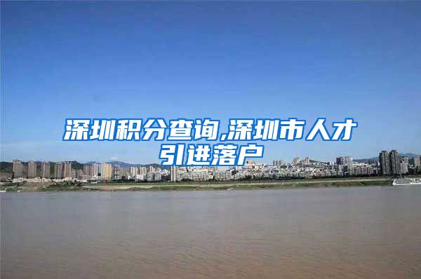 深圳积分查询,深圳市人才引进落户