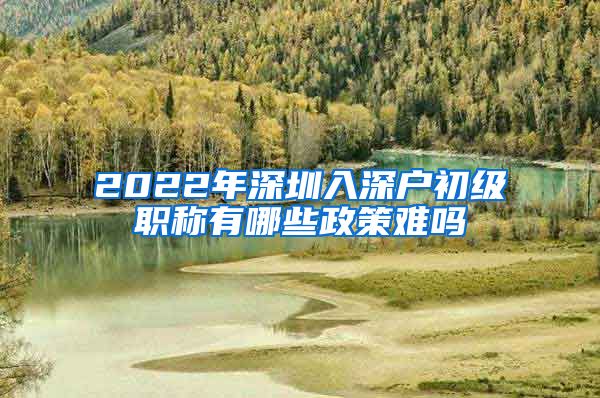 2022年深圳入深户初级职称有哪些政策难吗