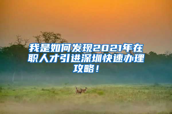 我是如何发现2021年在职人才引进深圳快速办理攻略！