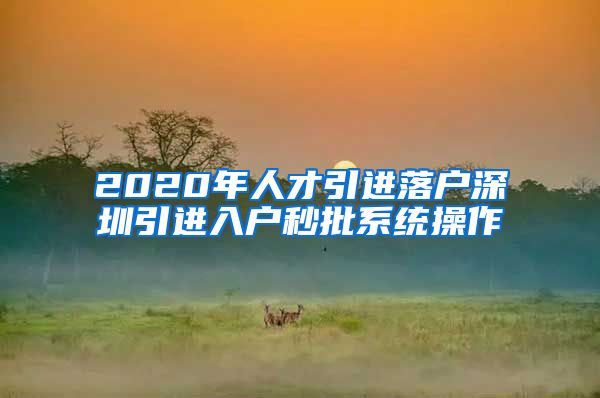 2020年人才引进落户深圳引进入户秒批系统操作