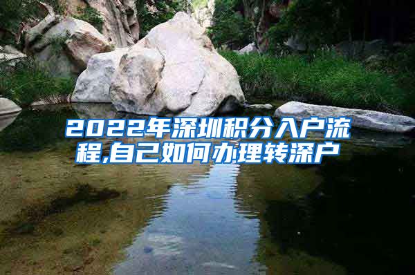 2022年深圳积分入户流程,自己如何办理转深户