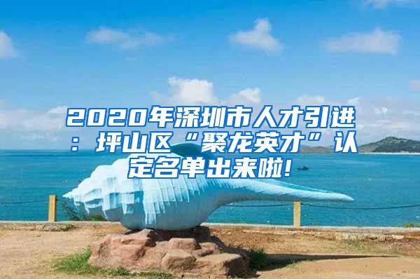 2020年深圳市人才引进：坪山区“聚龙英才”认定名单出来啦!