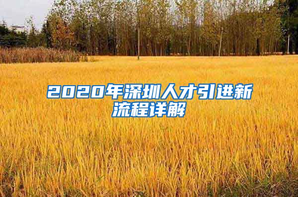 2020年深圳人才引进新流程详解