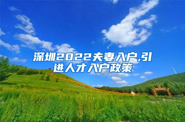 深圳2022夫妻入户,引进人才入户政策