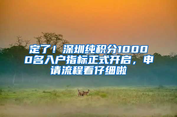 定了！深圳纯积分10000名入户指标正式开启，申请流程看仔细啦