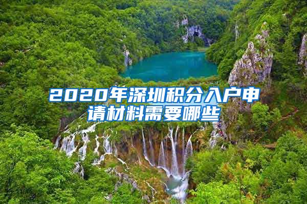 2020年深圳积分入户申请材料需要哪些