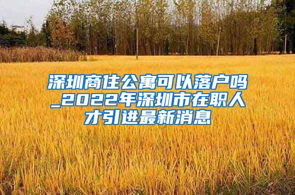 深圳商住公寓可以落户吗_2022年深圳市在职人才引进最新消息