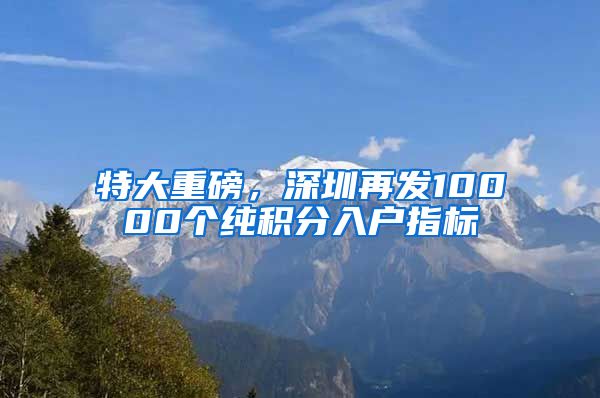 特大重磅，深圳再发10000个纯积分入户指标