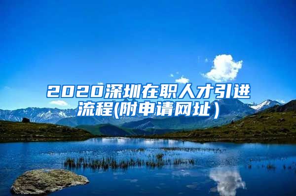 2020深圳在职人才引进流程(附申请网址）