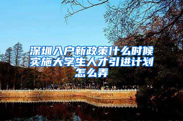 深圳入户新政策什么时候实施大学生人才引进计划怎么弄