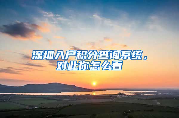 深圳入户积分查询系统，对此你怎么看