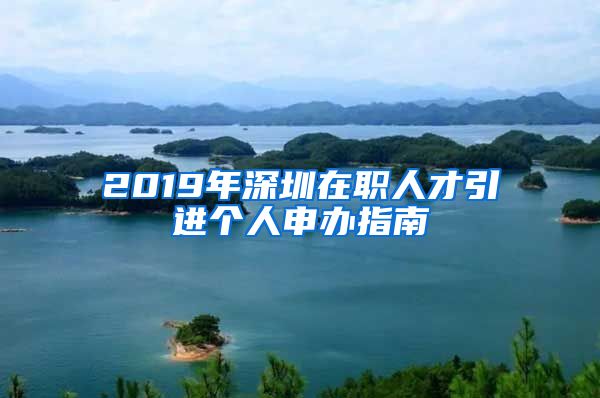 2019年深圳在职人才引进个人申办指南