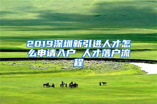 2019深圳新引进人才怎么申请入户 人才落户流程