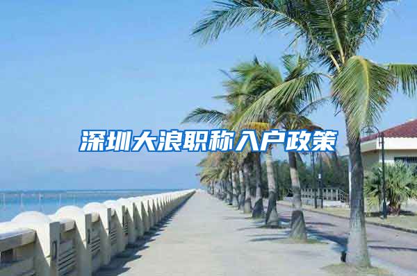 深圳大浪职称入户政策