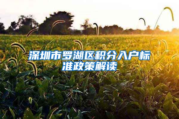 深圳市罗湖区积分入户标准政策解读