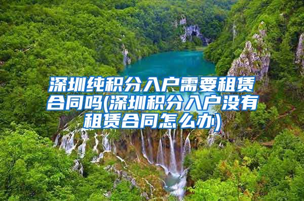 深圳纯积分入户需要租赁合同吗(深圳积分入户没有租赁合同怎么办)