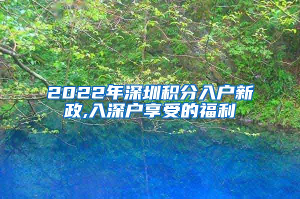 2022年深圳积分入户新政,入深户享受的福利