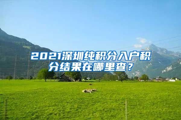 2021深圳纯积分入户积分结果在哪里查？