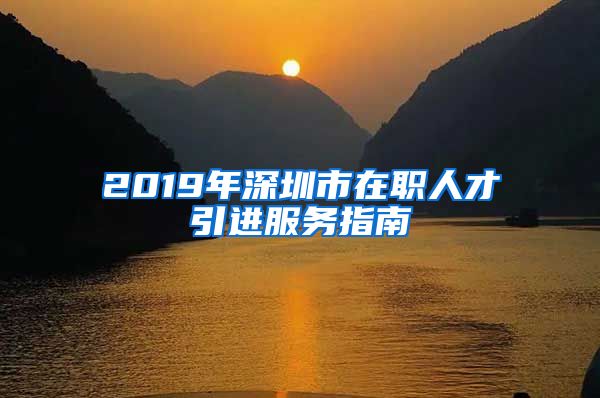 2019年深圳市在职人才引进服务指南