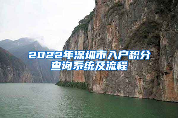 2022年深圳市入户积分查询系统及流程