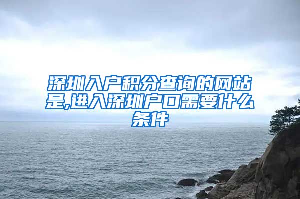 深圳入户积分查询的网站是,进入深圳户口需要什么条件