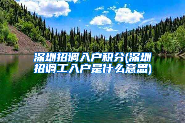 深圳招调入户积分(深圳招调工入户是什么意思)