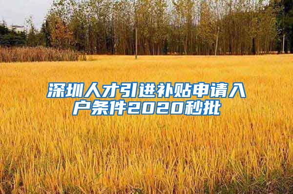 深圳人才引进补贴申请入户条件2020秒批