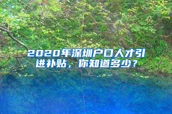 2020年深圳户口人才引进补贴，你知道多少？