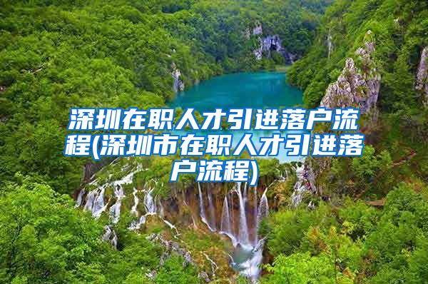 深圳在职人才引进落户流程(深圳市在职人才引进落户流程)