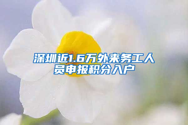 深圳近1.6万外来务工人员申报积分入户