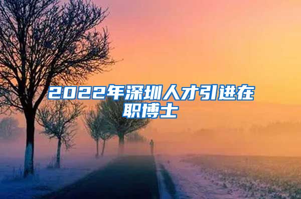 2022年深圳人才引进在职博士