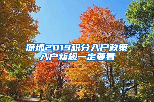 深圳2019积分入户政策入户新规一定要看