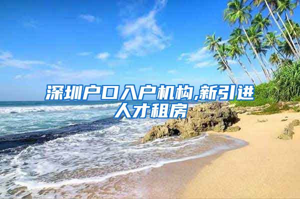 深圳户口入户机构,新引进人才租房